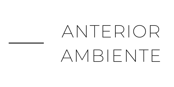 anterior-proyecto