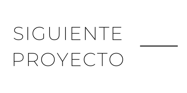 siguiente-proyecto